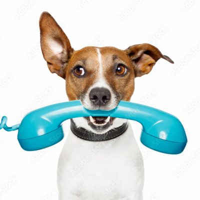 AdobeStock_40422257_1Preview